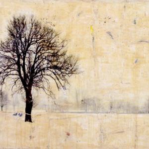 Hyena, Solo Show. 2001 - 2016, quindici anni di opere