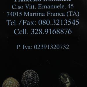  GALLERIA MORSKAJA di DIMICHELE FRANCESCO A MARTINA FRANCA(TA): PERMANENTE FASANO FRANCESCO