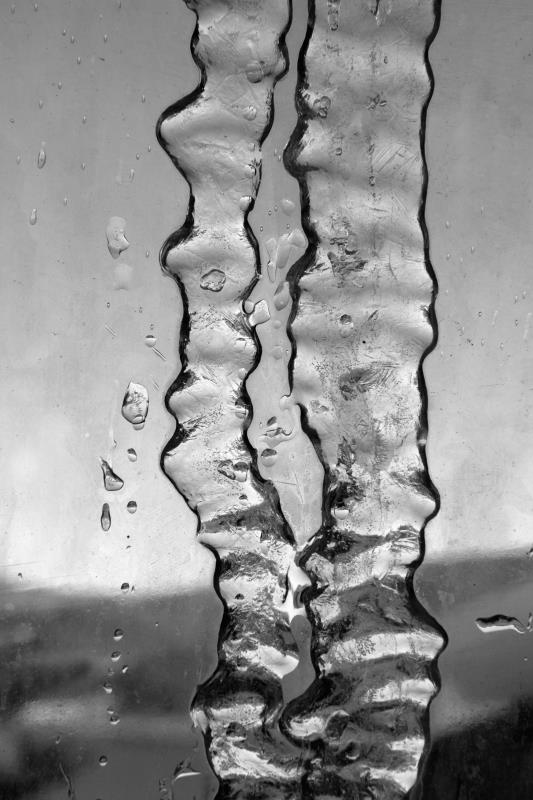 "Solidarietà artistica contro la perdita della cultura"