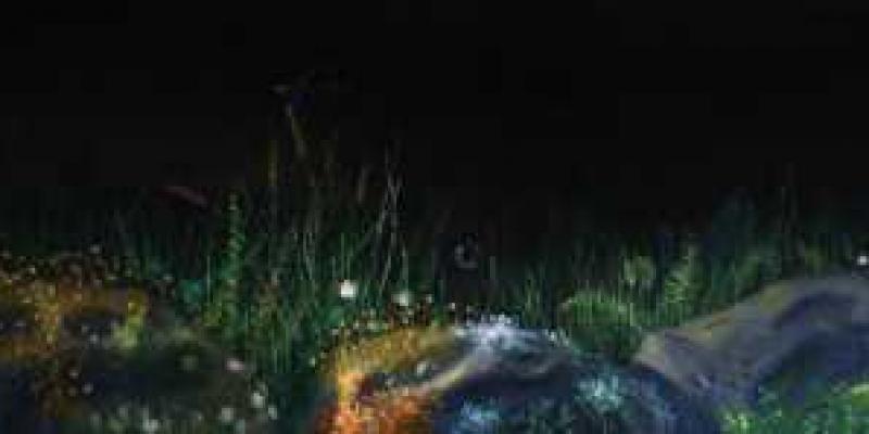 ARCHETYPES & BEGINNINGS ARCHETYPES & BEGINNINGS