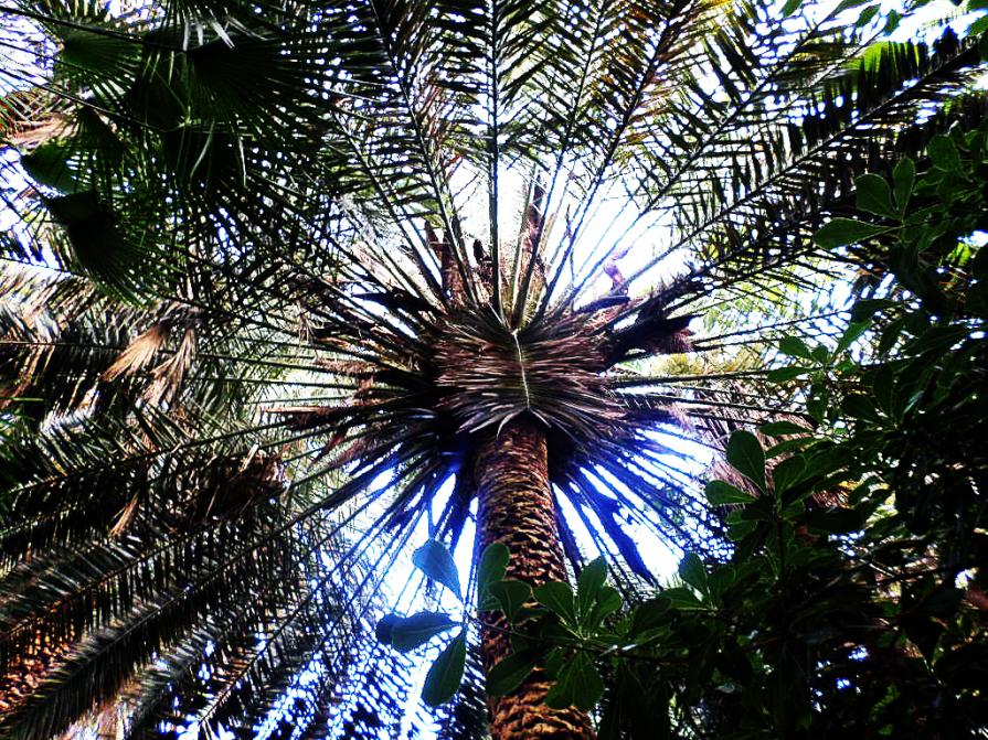 ...I VIAGGI DI TANYA (7)...