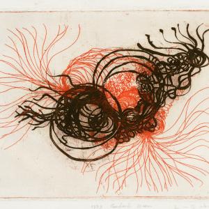 "Radici e germogli" - Domenico Conforte "Radici e germogli" - Domenico Conforte