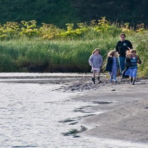 USA. Alaska 1/3. Forme di vita