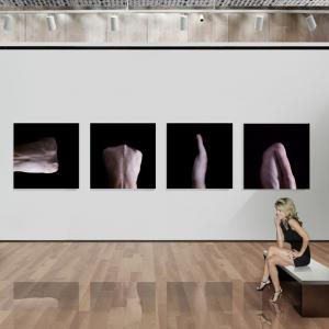 Innesti adattivi / online / Percorso espositivo renderizzato