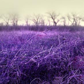 ARBE GARBE (4 - 37.30)