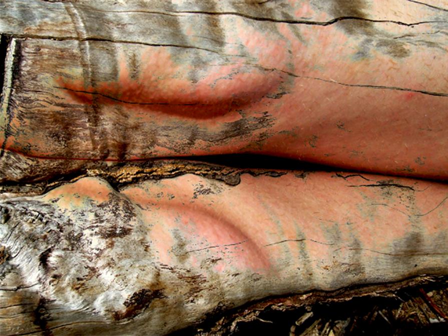 Fusioni/2/ Fusioni/2/