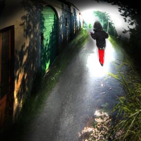 la luce fonte di vita mi attira.