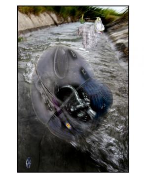 ecco dopo 20 anni la mia visione sul concepimento 02