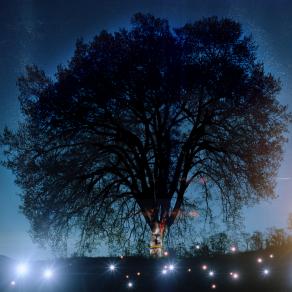 Quercia del Paradiso