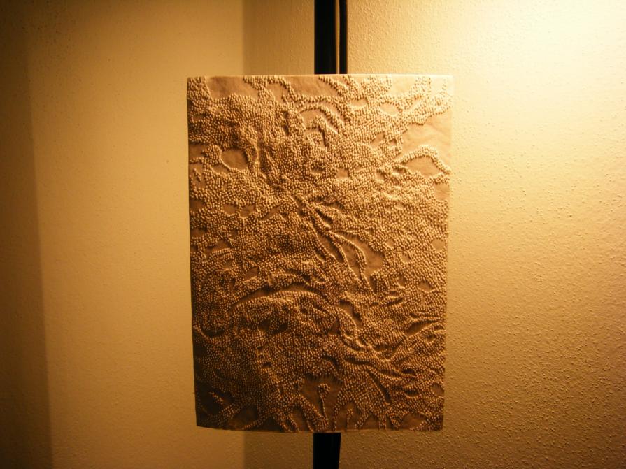 metamorfosi di pensieri 