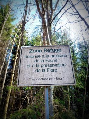 Refuge...