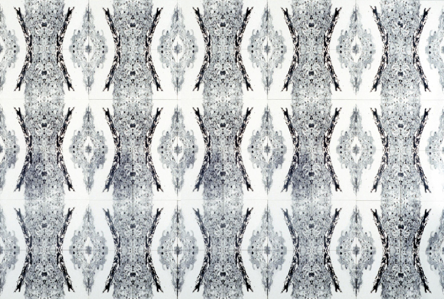 The eye of the drosophila