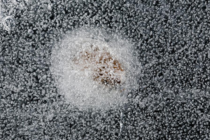 la schiusa la schiusa