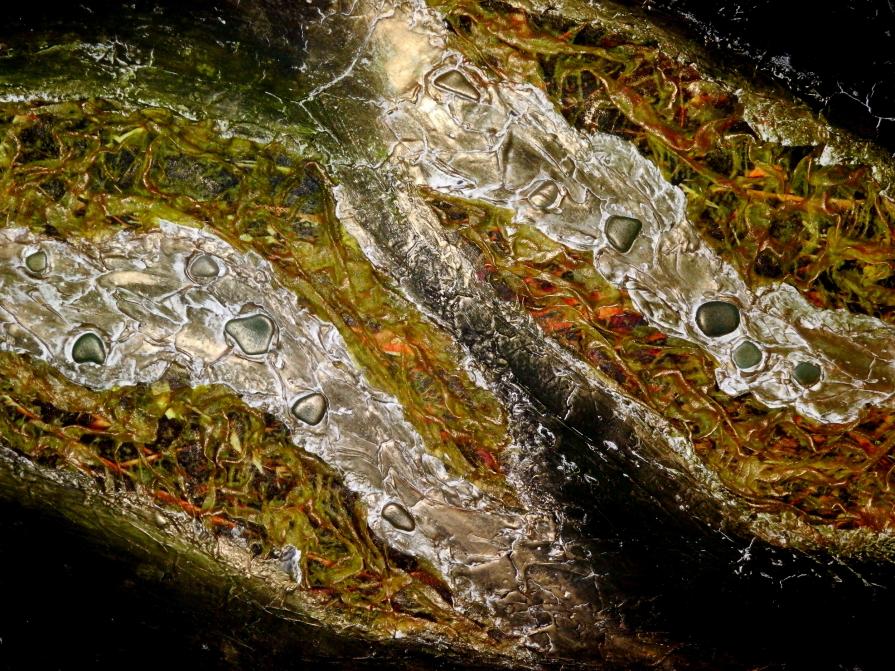 SINONIMI - (particolare)