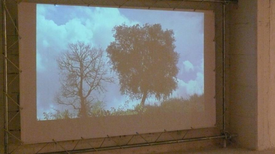 "Io voglio scrivere che la mafia"-video 