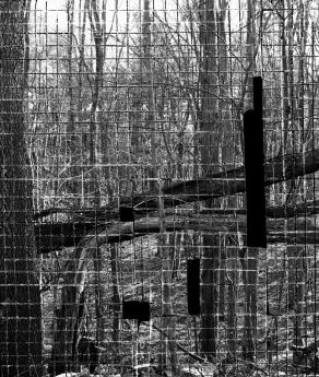 Broken Grid #6, 2013