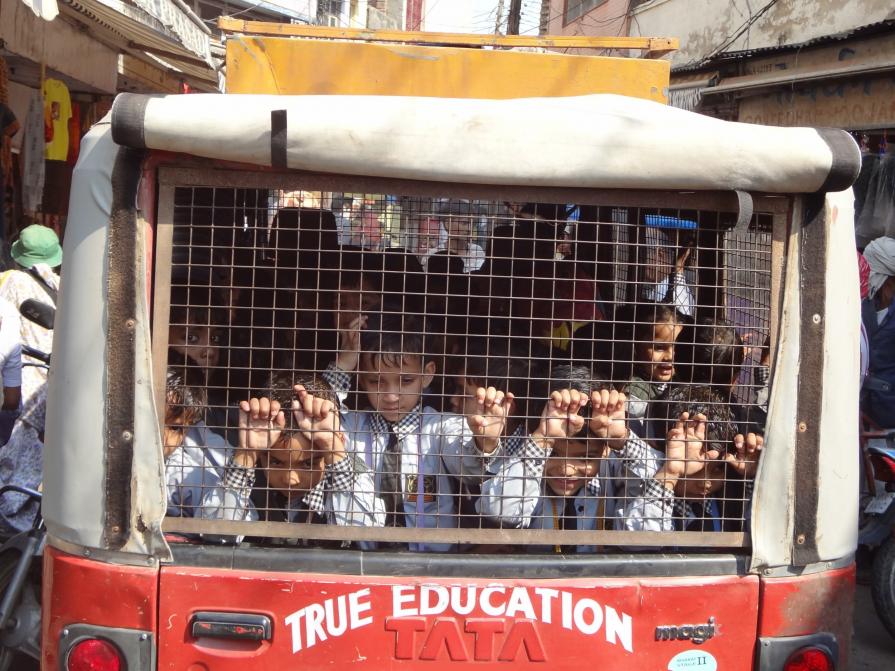 The society's cage The society's cage