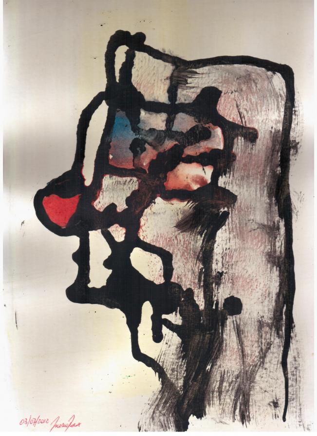 I miei " non visi" I miei " non visi"