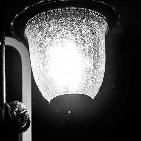 The frog and the lantern