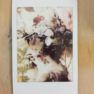 Instax