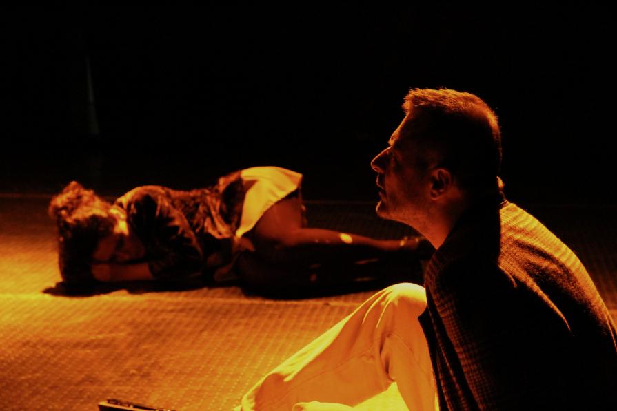 Corpi Celesti. Letture  da  H. Pinter.