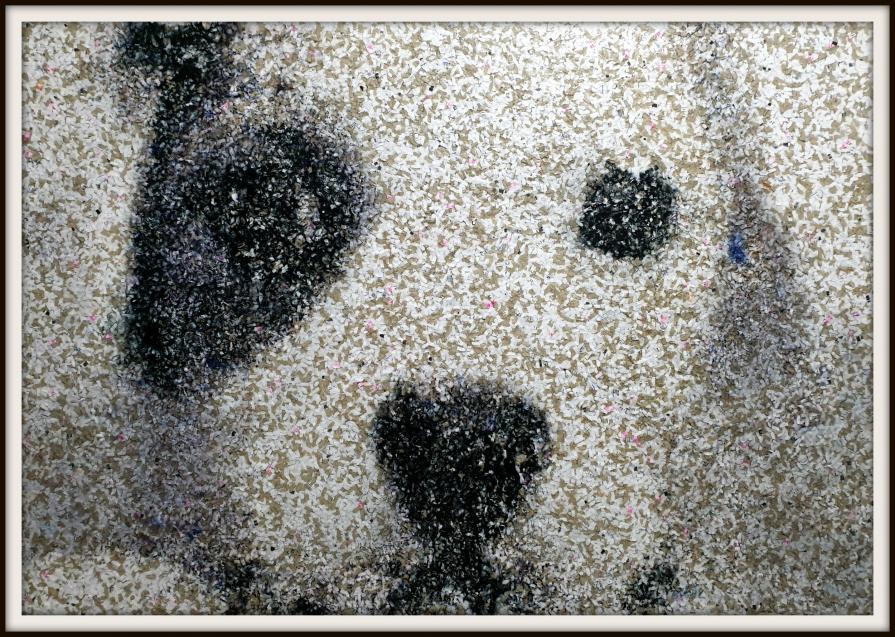 Leopold (n.467) - "I need pampering" series