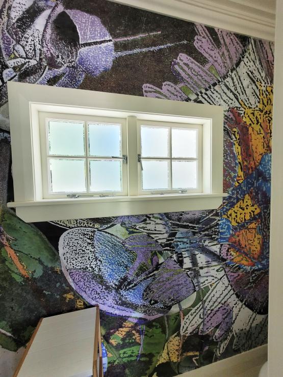 mural "marlborough rock daisy" 3.4x2.4m mural "marlborough rock daisy" 3.4x2.4m