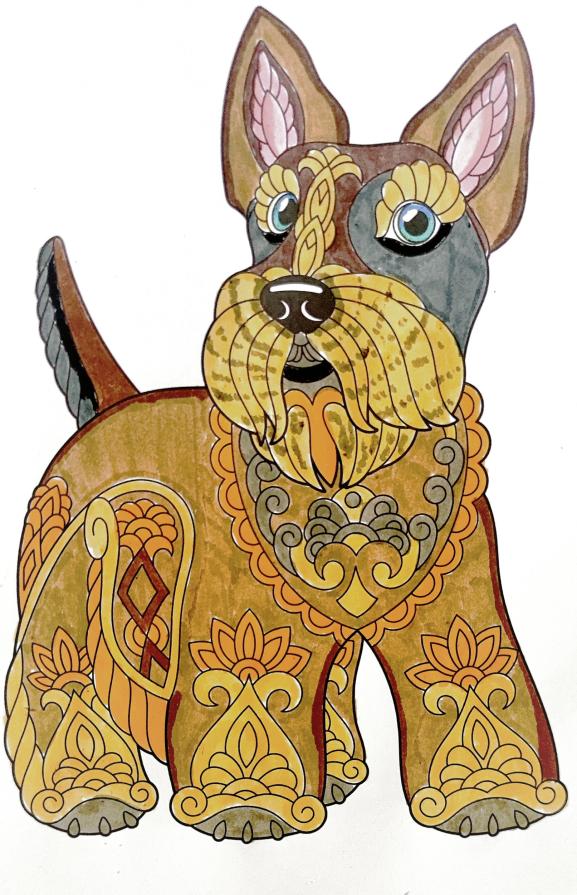 L'amore per un cane dona grande forza all'uomo ...