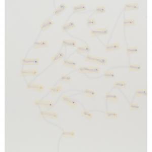 Claudio Gaddini, Lucide trasparenze