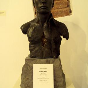 FOTO mostra LA FORMA E LA LUCE NASCOSTA.