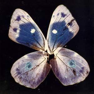 Sconfinamenti. Vintage ed Unicum di Nino Migliori