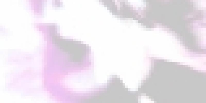 venicreator venicreator