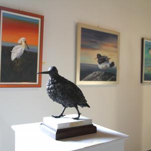 Altra Natura a Revere (mn)