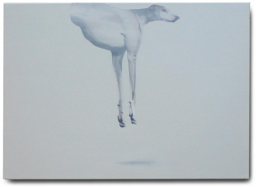 ascensione del cane al cielo n.21