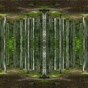 "La verità svelata" dalla serie "correspondances" 