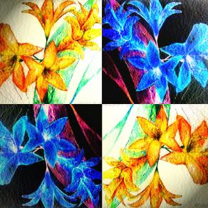 Tessellation - Clivia (particolare)