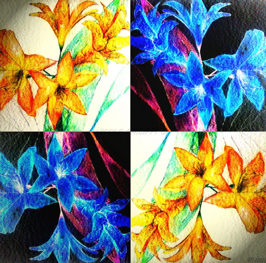 Tessellation - Clivia (particolare)