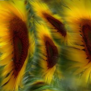 tempo per un esercizio. primo giiallo...