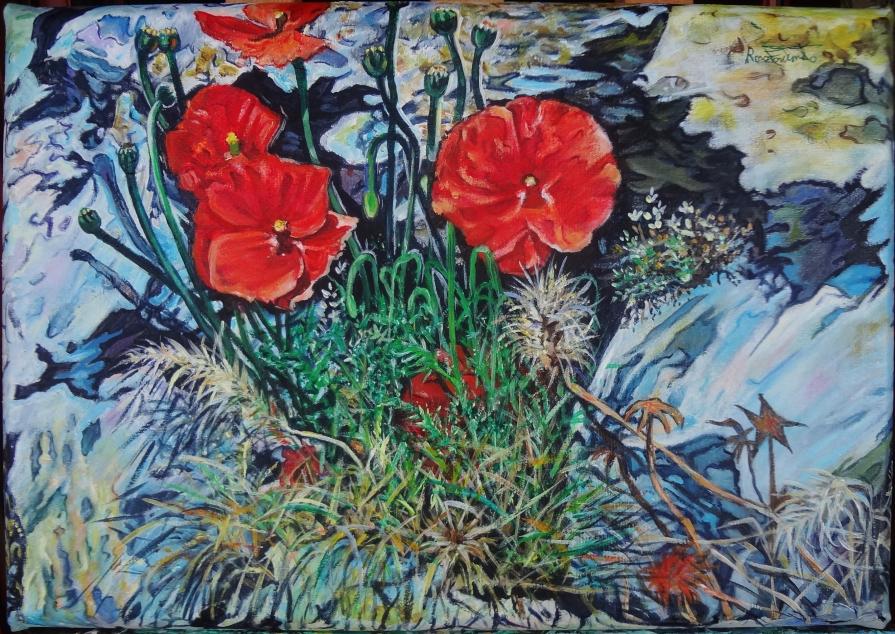 Papaveri  tra le Rocce     