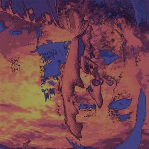 Leila morì di dolore 