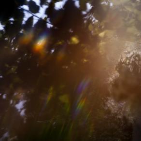 This is the Secret #09