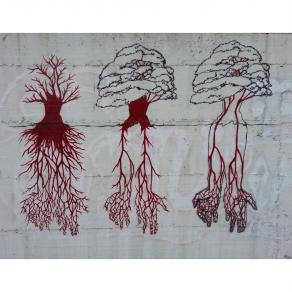 Evoluzione della vita