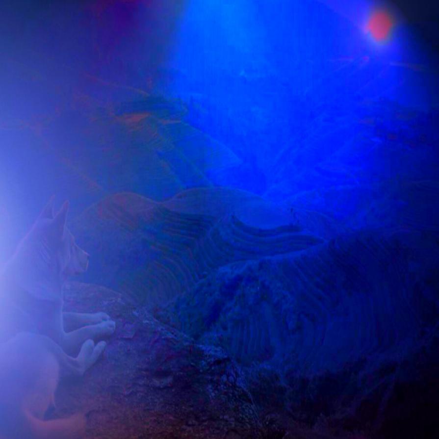 ... TUTTO SUCCEDE PER UN MOTIVO....!!!!!