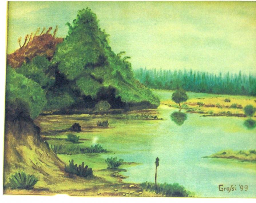 LG 0157 - Un'ansa del Ticino