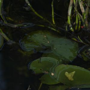 WaterLines series pic 1