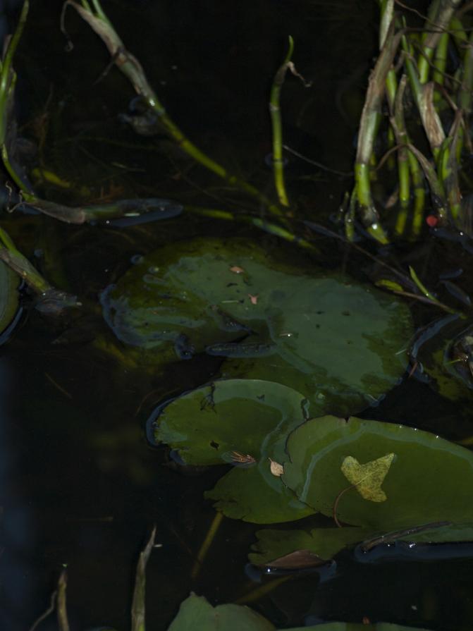 WaterLines series pic 1