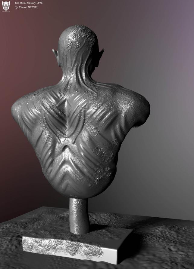 The Bust By Yacine BRINIS 2016 View 11