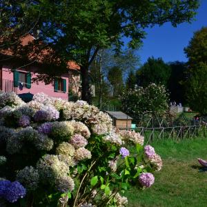 I verdissimi prati e i numerosissimi fiori della campagna genovese