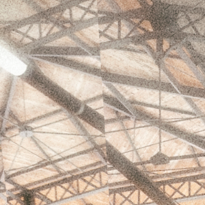 sAMBRGintDX-0217u P03