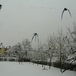 Prima della fine è un volo